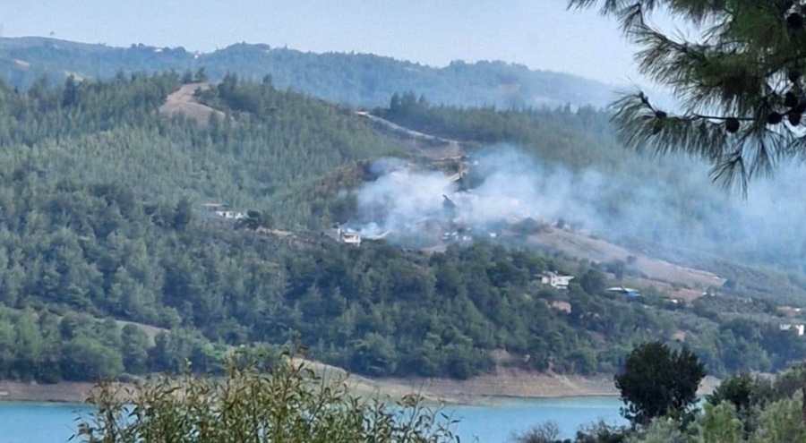 Adana'da çıkan orman yangını kontrol altında