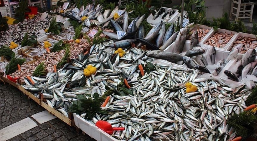 Balık sezonu açıldı: Hamsi tezgâha yüzde 154, çipura yüzde 67 zamlı çıktı