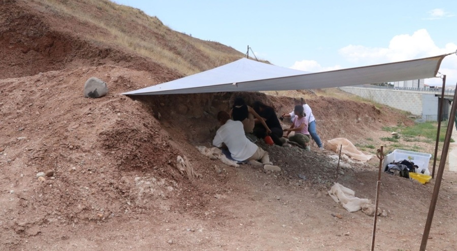 9 milyon yıl önce bu topraklarda yaşamış, kemikleri bulundu!
