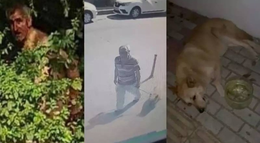 Köpeğe cinsel istismar davası: zanlı tutuklu yargılandı