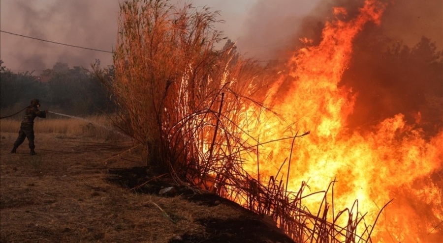Yunanistan'ın Kozani kentindeki orman alev aldı!