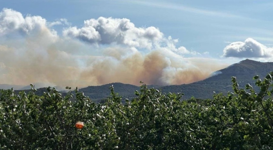 Fransa'da orman yangını! 80 kişi tahliye edildi