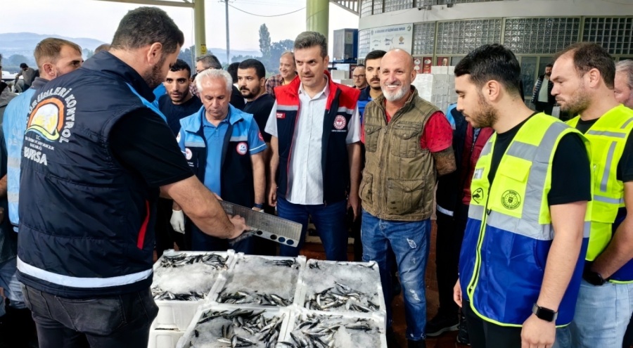Bursa'da kaçak balık avına geçit yok