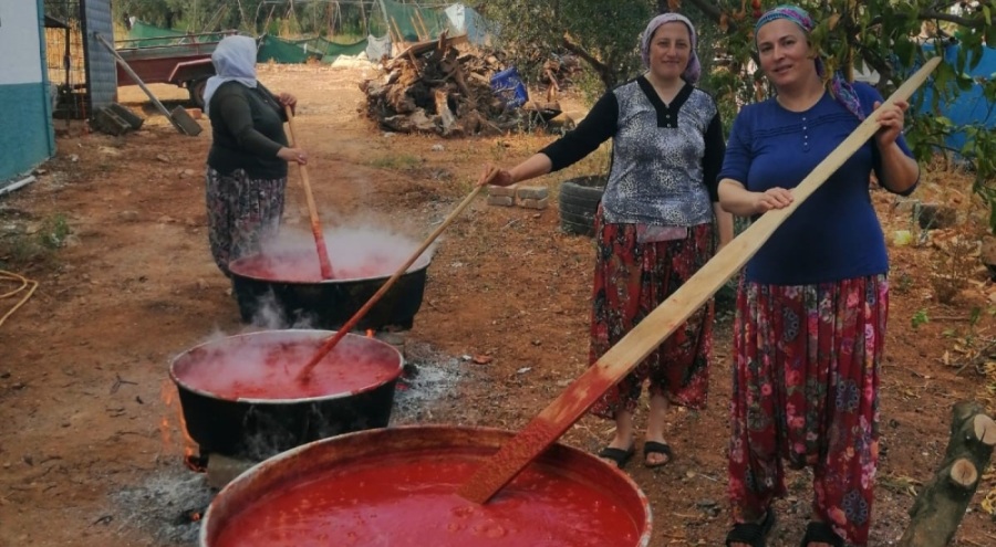 İznik'te kışlık salça yapımı başladı