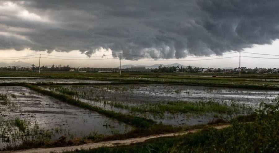 Yagi Tayfunu'nda ölenlerin sayısı 262'ye yükseldi