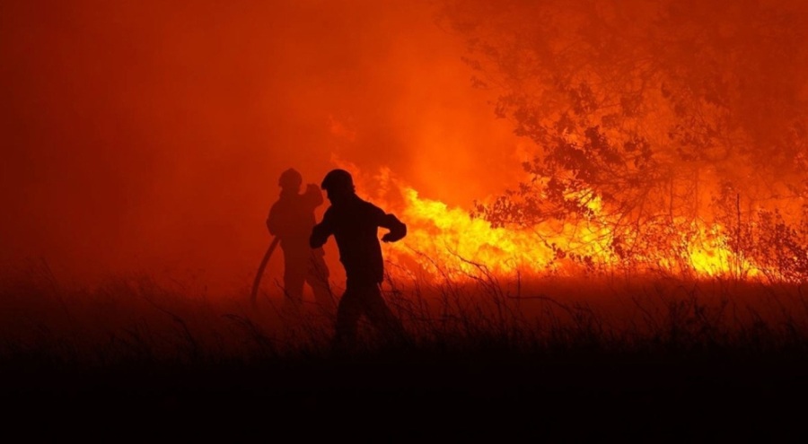 Ukrayna'da korkutan orman yangını