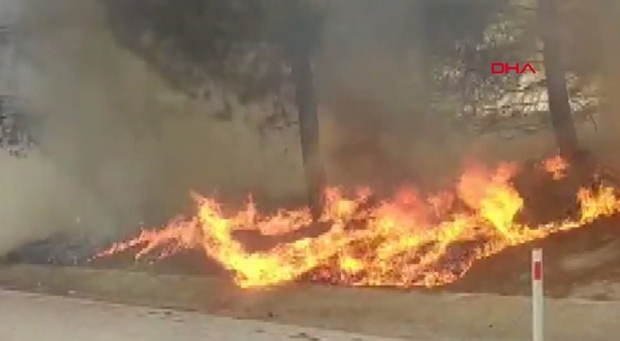 Edirne'de ot yangını