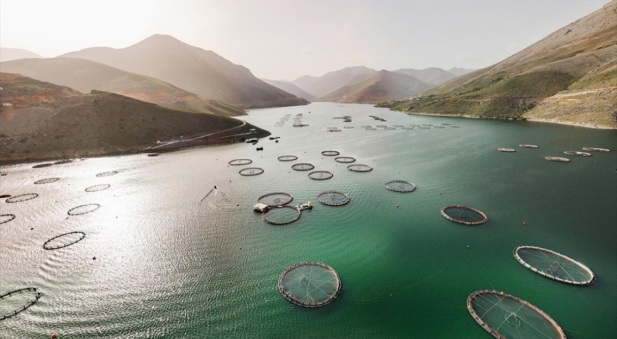 Balık yetiştiriciliği avcılığın önüne geçti