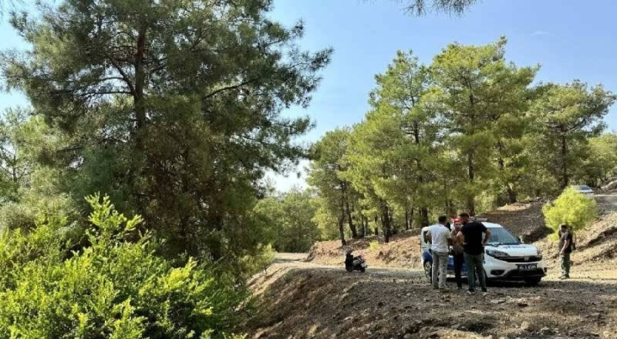 Ormana terk edilen bebeğin anne ve babası tutuklandı