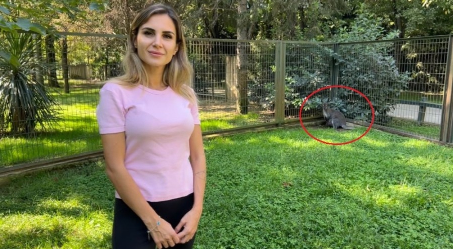 Bursa Hayvanat bahçesinin yeni üyesine kendisini ilk görüntüleyen muhabirin ismi verildi