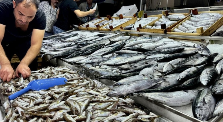 Tezgahlarda balık bolluğu