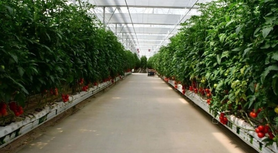 Serada temizlik yapan 28 işçi hastanelik oldu