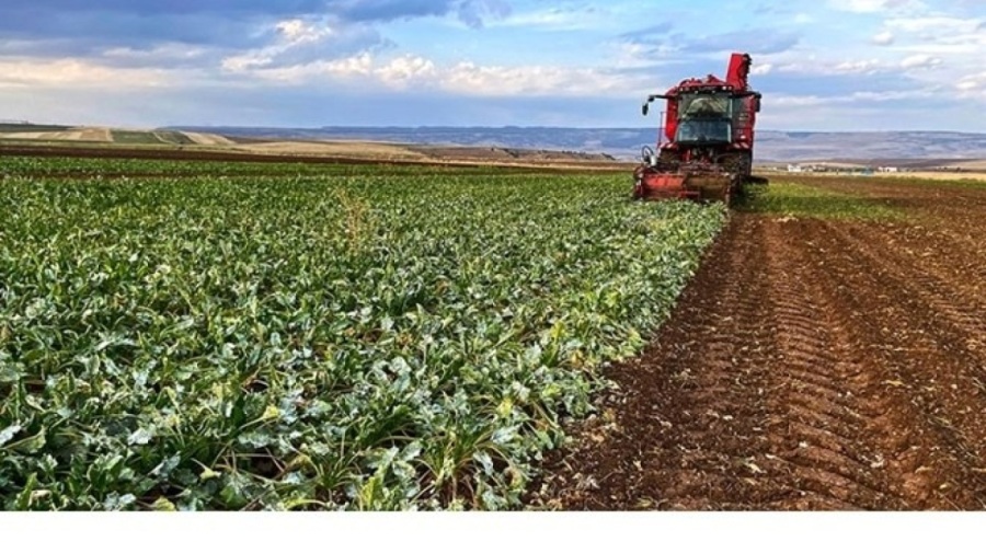 Çiftçiye destek ödemesi yapılacak