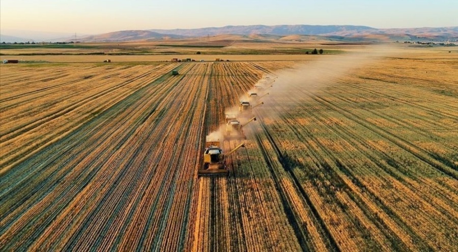 Bakan Yumaklı: 42 ilde 61 organize tarım bölgesi kurulacak