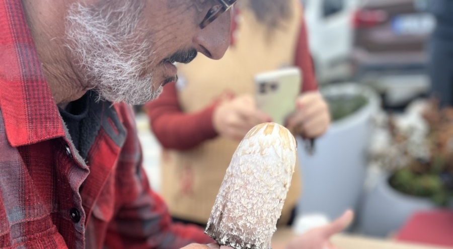 Ünlü mikolog Jilber Barutçiyan Uludağ'ın eşsiz mantarlarını keşfe çıktı