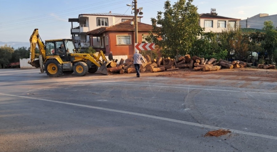 Bursa'da kamyon virajı alamadı, tomruklar yola saçıldı