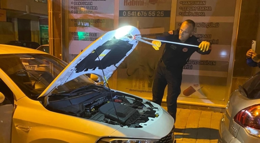 Bursa'da seyir halindeki aracın kaputundan yılan çıktı