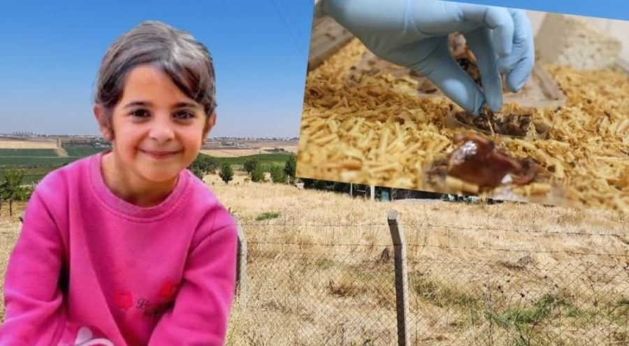 Narin Güran cinayetinde yeni delil: "İzmarit" detayı