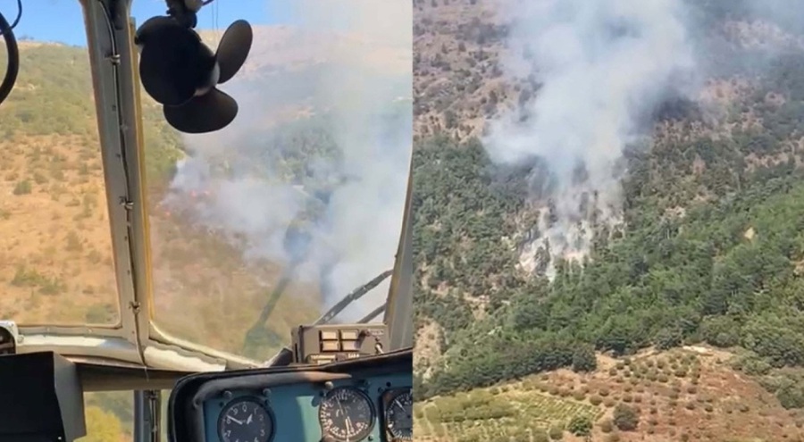 İzmir'de orman yangını! Havadan ve karadan müdahale ediliyor