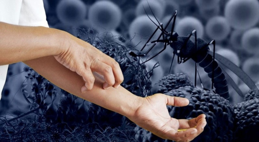 Yunanistan'da Batı Nil virüsü nedeniyle bir haftada 3 kişi hayatını kaybetti