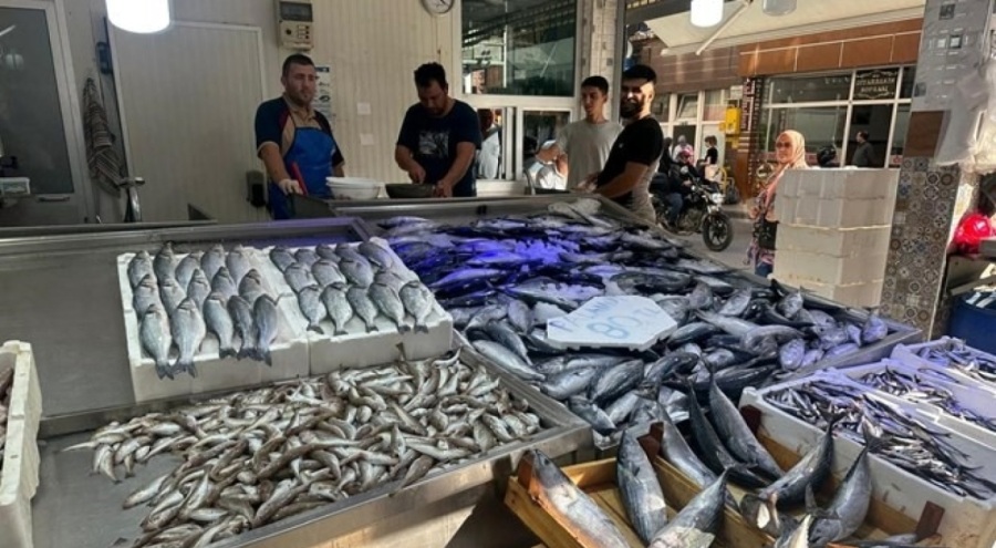 Karadeniz'de palamut bolluğu! Tanesi 80 liraya düştü