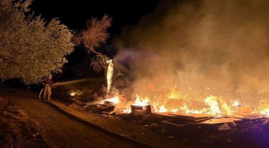 Zeytinlik alanda yangın!