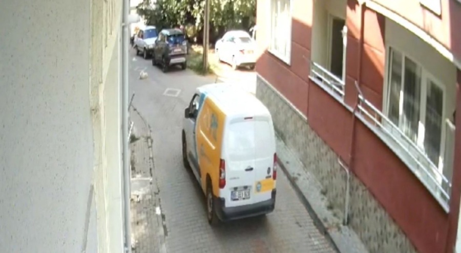 Bursa'da kargo şirketinin aracıyla köpeği ezdi!