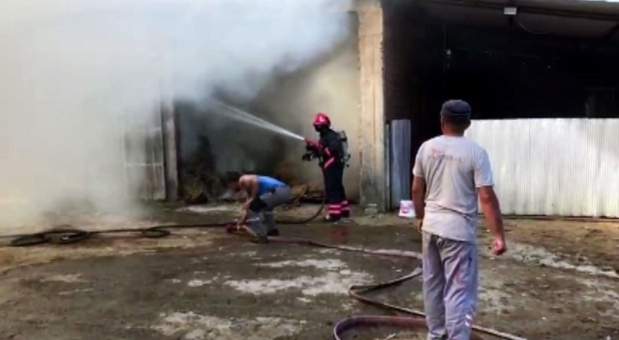 2 ahır ve 2 samanlık alevlere teslim oldu