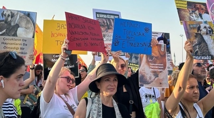 Katliam yasasına karşı sokağa çıktılar