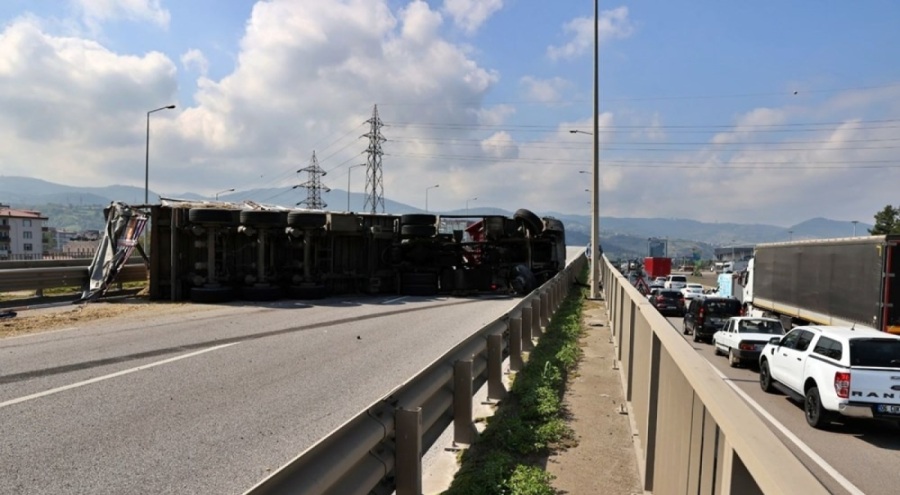 Şoförü arı soktuğu için tır devrildi: Sürücü yaralı, yol trafiğe kapandı