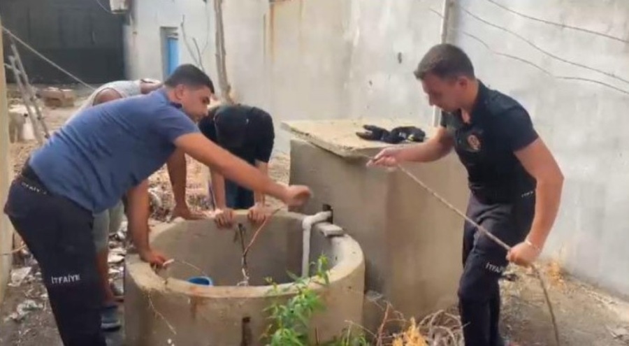 Kuyuya düşen yavru kediyi itfaiye kurtardı