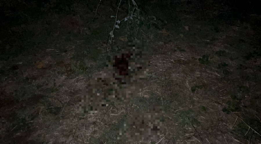 Bursa'da çıkan bıçaklı kavgada 16 yaşındaki genç hayatını kaybetti!