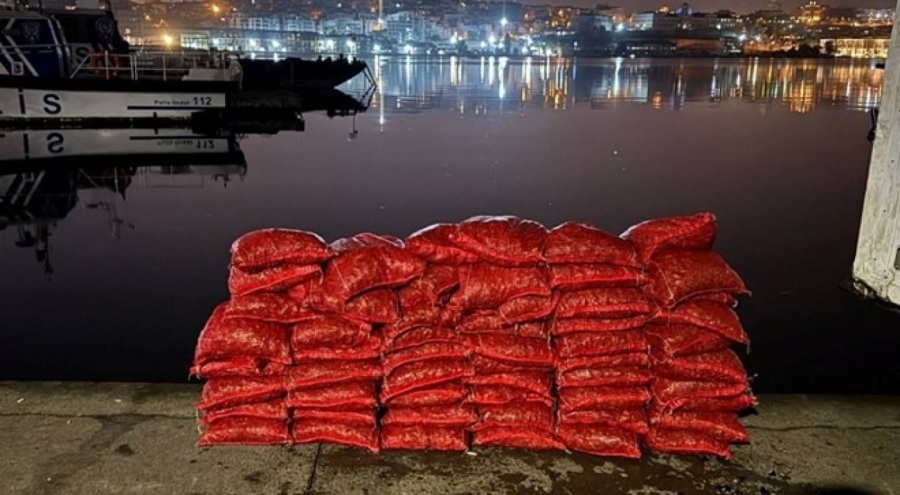 Yasak yolla midye çıkartan kişiye 26 bin lira ceza!