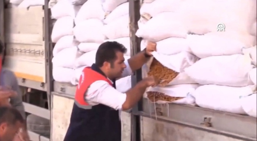 Tüketime uygun olmayan 79 ton ceviz imha edildi