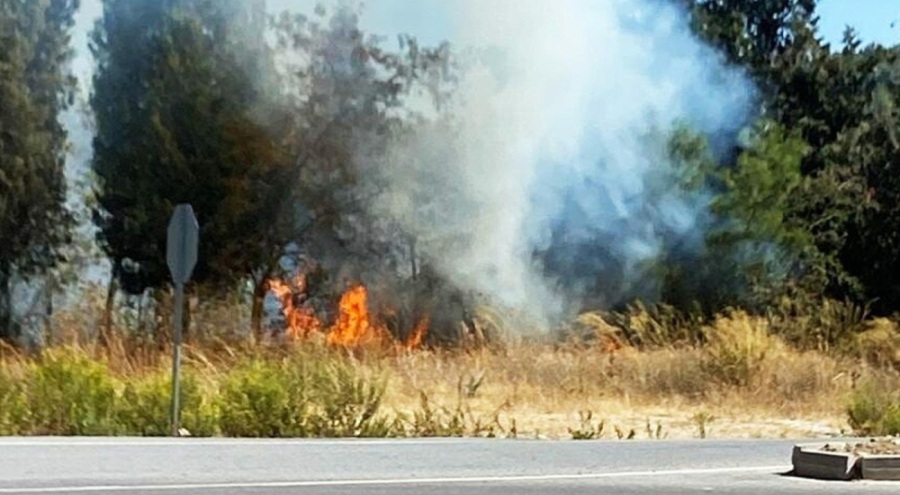 Muğla'da orman yangını!