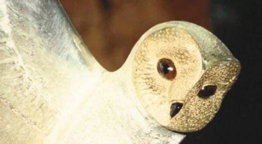 31 yıl süren hazine avı tamamlandı: Ödül olarak 'Altın baykuş heykeli' verilecek