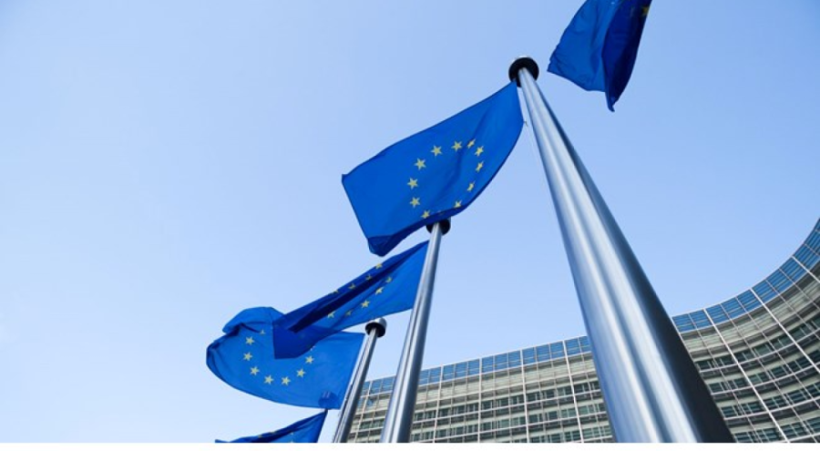 AB ülkelerinden Çin'e ek vergi getirilmesine destek