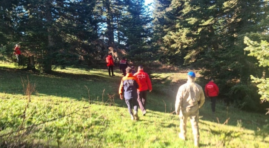 Yaylada mantar toplamaya giden adam ölü bulundu