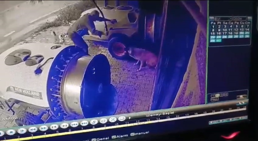 Bursa'da köpeğe şiddet! O cani serbest kaldı