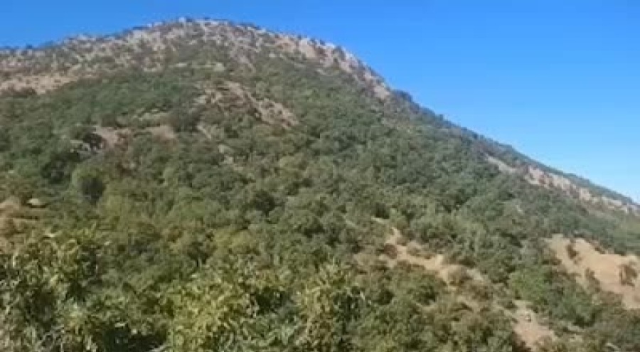 Elazığ'da Terör örgütü PKK'ya ait patlayıcı ve yaşam malzemesi ele geçirildi