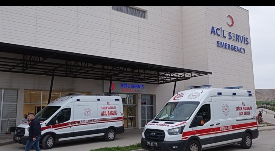 Armut toplarken yorgun merminin isabet ettiği kadın, yaralandı