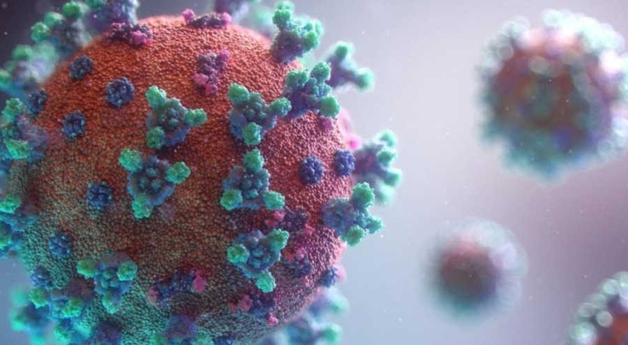 Marburg virüsü nedir? Marburg virüsünün belirtileri nelerdir? Marburg virüsü nasıl bulaşır?