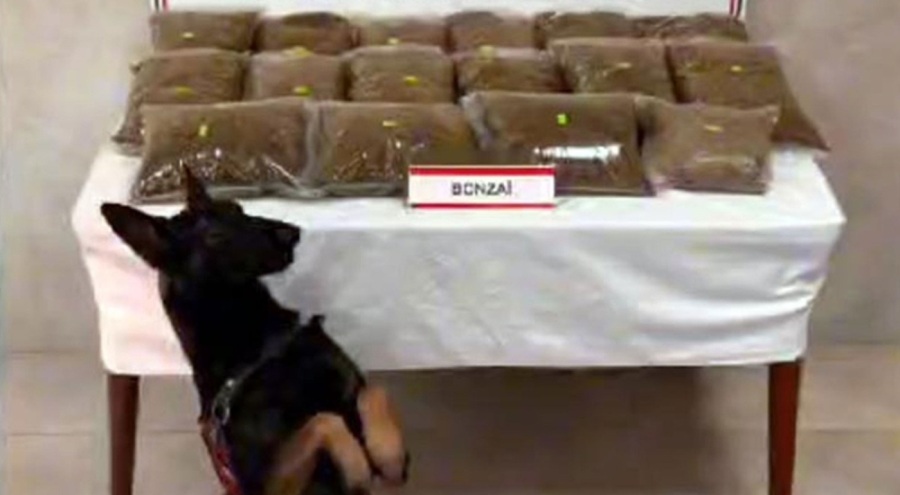 Sakarya'da uyuşturucu operasyonu: 3 kişi şüpheli tutuklandı