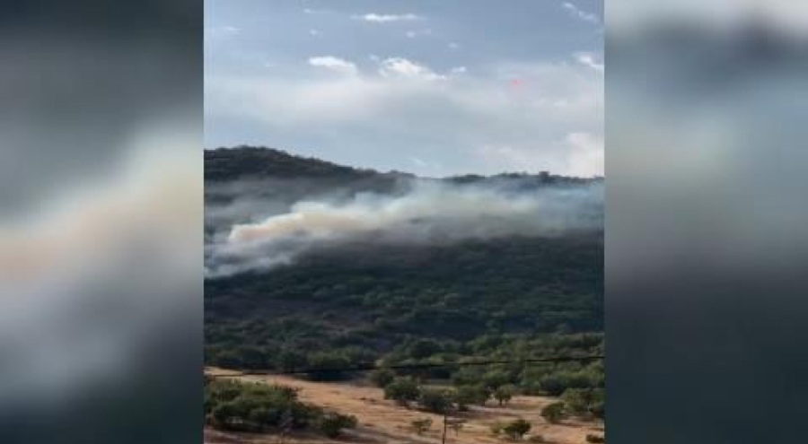 Ormanlık alanda örtü yangını!