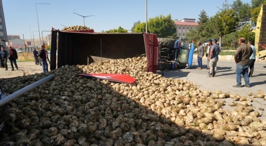 Şeker pancarı yüklü traktör devrildi