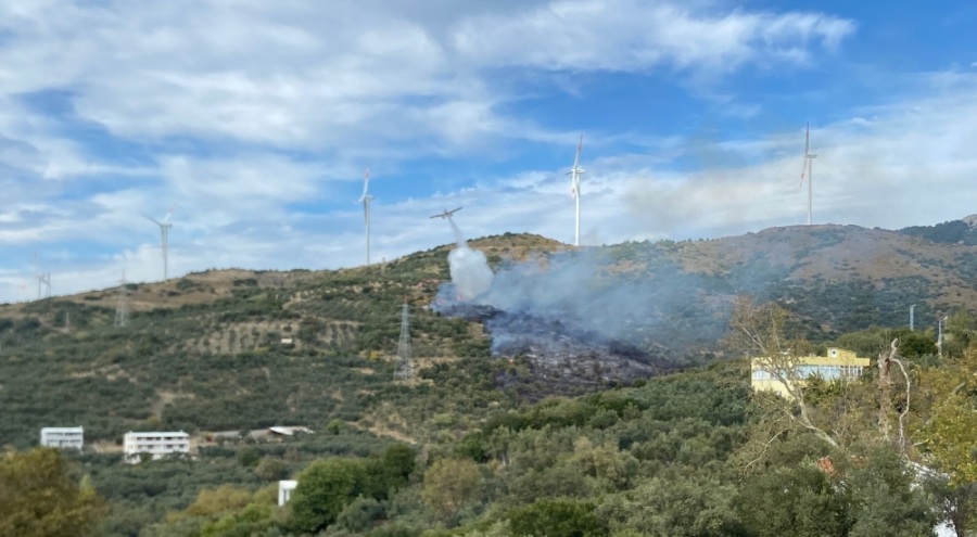 Orman yangını 2 saatte söndürüldü; adalara elektrik verilemiyor!