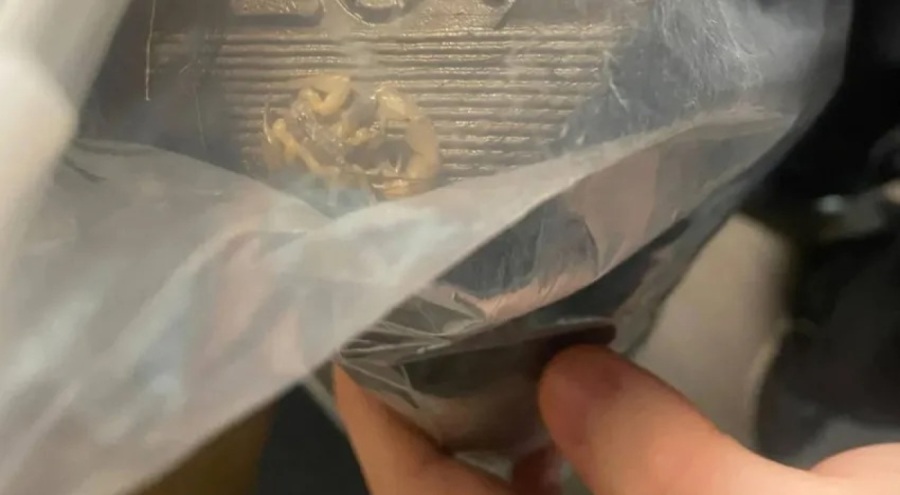 Satın aldığı botun içinden akrep çıktı!