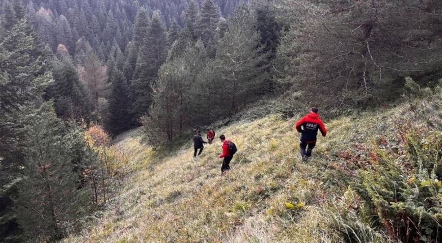 Bolu'da yaylada kaybolan yaşlı çiftten acı haber