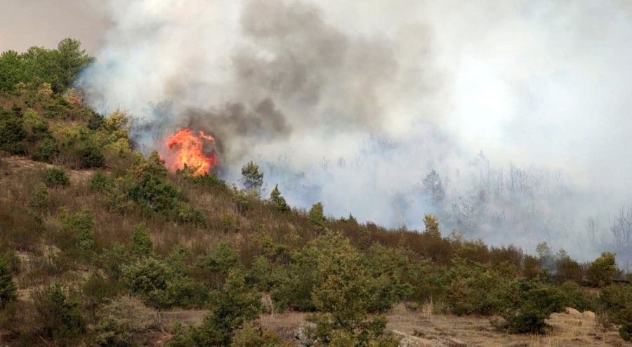 Afyonkarahisar'da orman yangını!