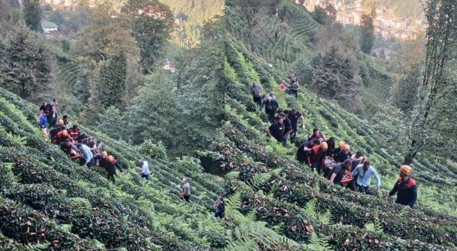Rize'de araç çay bahçesine yuvarlandı: 1 kişi yaşamını yitirdi!